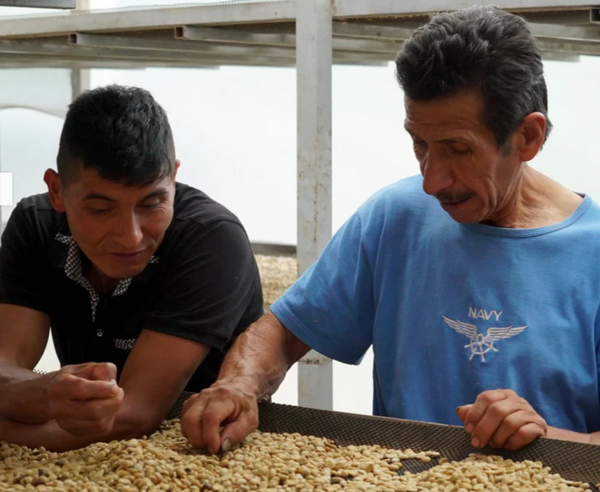 Microlot - Was verbirgt sich dahinter?