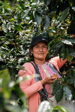 Frühlingskaffee - cremiges Vanilleeis