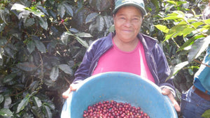 Kooperative Aprolma in Honduras