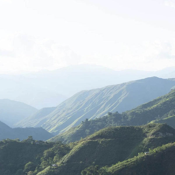 Anbaugebiet von Cenfrocafe in Peru