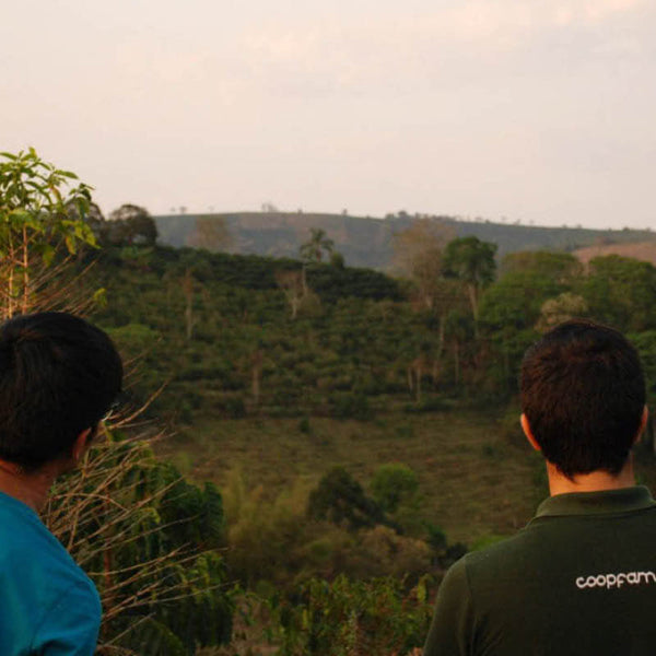 Coopfam Kaffeeplantage