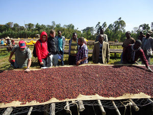 Kooperative Taramesa und Shilicho in Äthopien