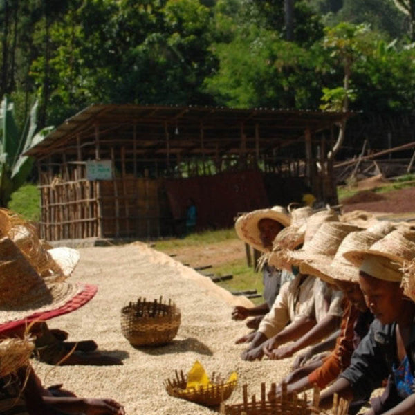 MItarbeiter der Kooperative Shilicho in Äthiopien