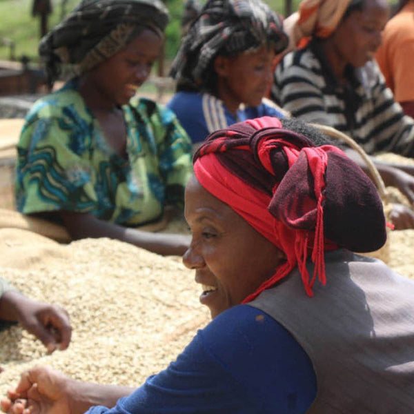 Plantage Shilicho in Äthiopien