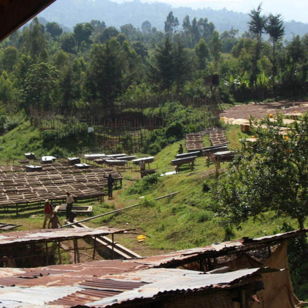 Plantage Shilicho in Äthiopien