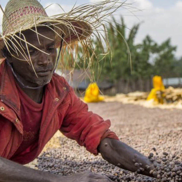 Kaffeebauer von Taramesa in Äthopien