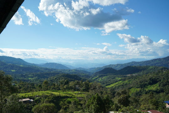 Frühlingskaffee - cremiges Vanilleeis