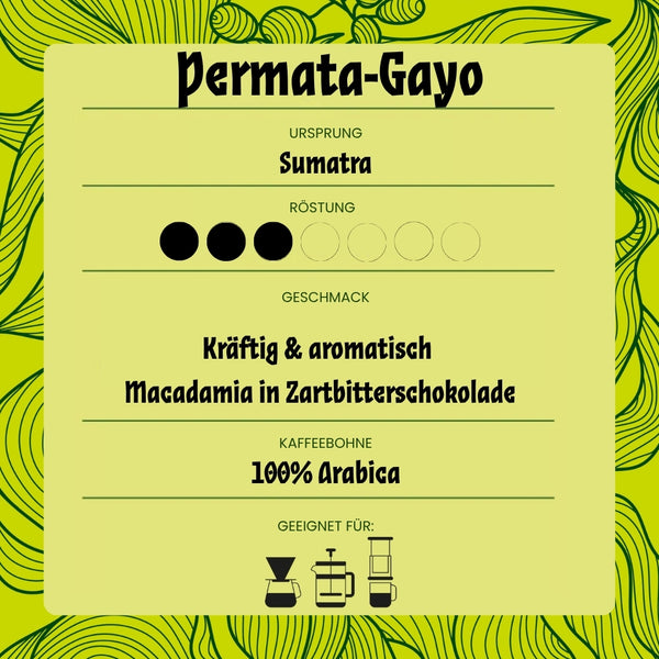Filter - Permata-Gayo - Macadamia in Zartbitterschokolade