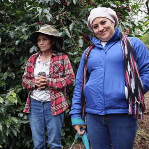 Bio Espresso Honduras
