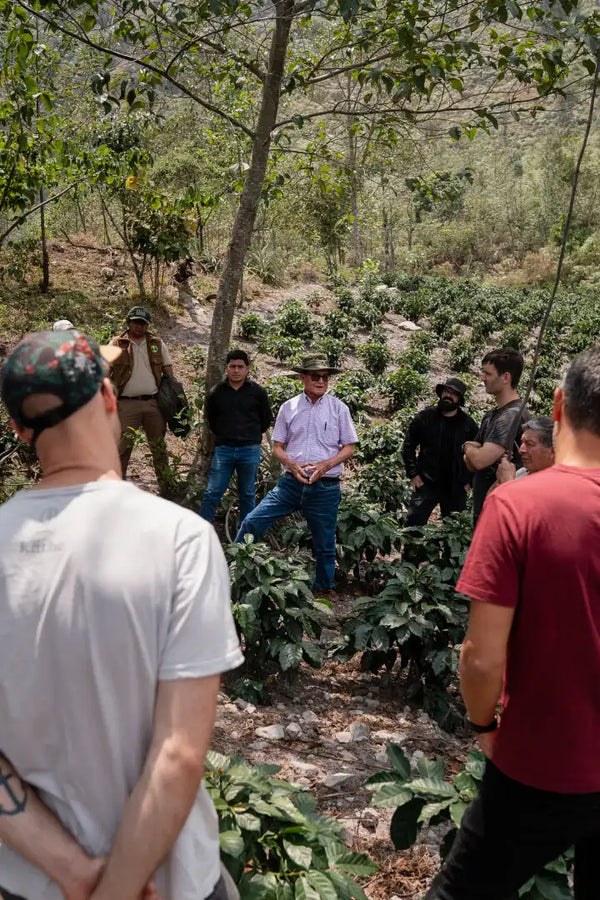 Mitglieder von Roasters United auf einer Kaffeefarm von Rutas del Inca in Peru.