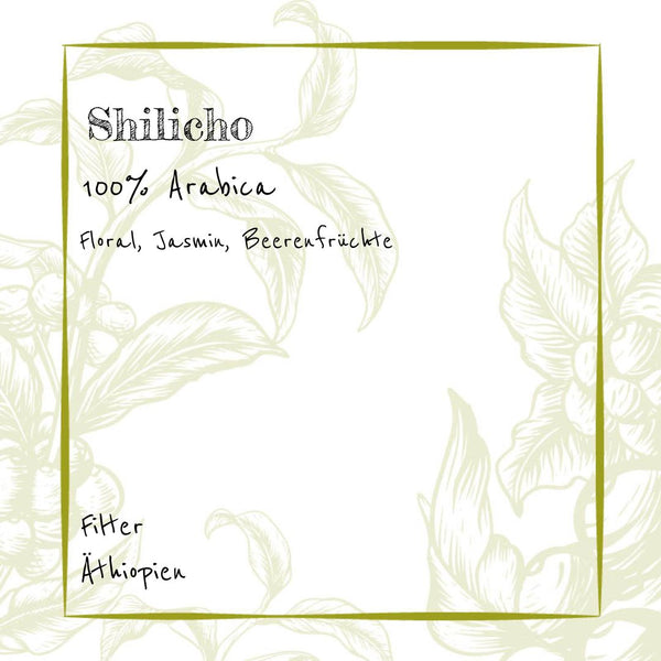 Filter - Shilicho - 100% Arabica  - NEUE Ernte!