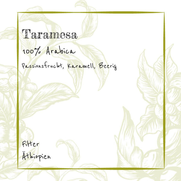Filter - Taramesa - 100% Arabica - Beerige Frische aus Äthiopien