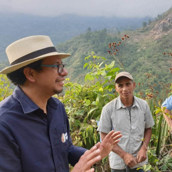 Anbaugebiet der Kooperative ADEBIPROM in Guatemala