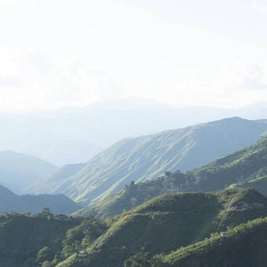 Anbaugebiet Cenfrocafe in Peru