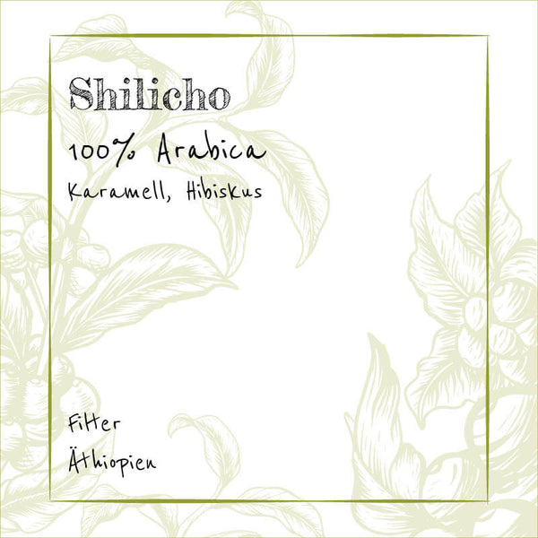 Shilicho - Filter - 100% Arabica
