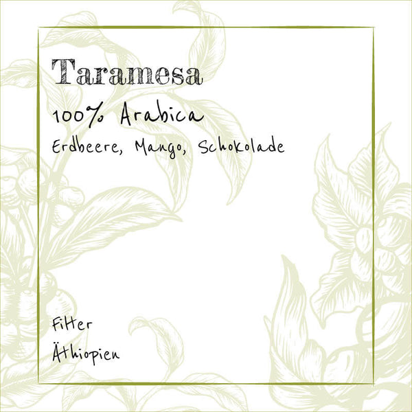 Taramesa - Filter - 100% Arabica
