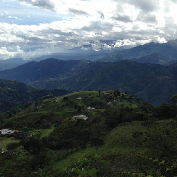 Anbaugebiet in Kolumbien