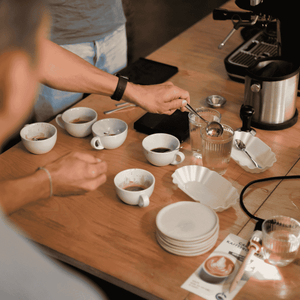 Teilnehmer verkosten verschiedene Specialty Coffees während einer Röstereiführung und während des Cuppings.