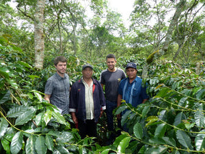 Kooperative Permata Gayo in Sumatra