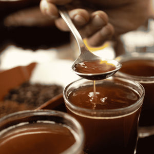 Vorbereitete Kaffees für eine professionelle Kaffeeverkostung und Sensorikanalyse.